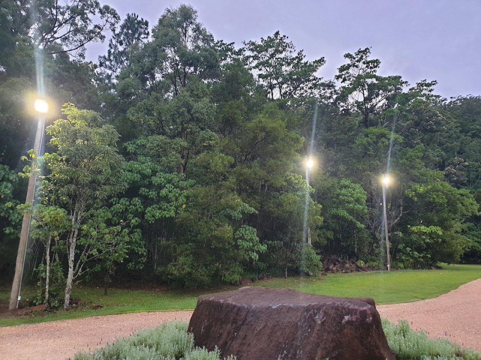 Pole lights along a driveway at dusk